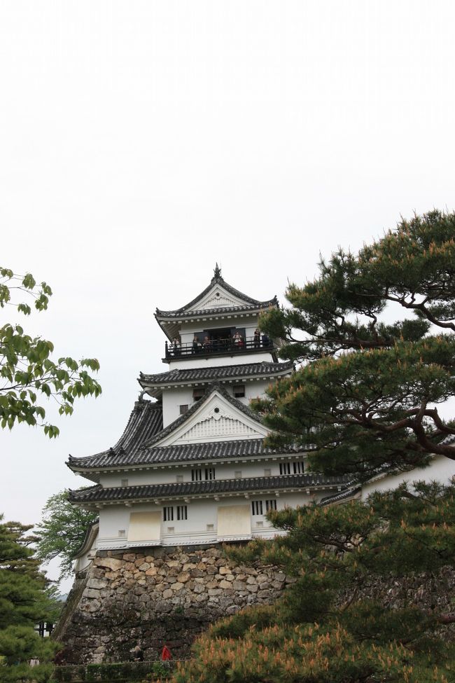 市を進んで行くと高知城が見える。ドラマ中では山内容堂公が住んでおり、作中のキーポイントなる人物である。<br />城下は身分制度によって住む場所もはっきりと区分されており、身分が高くないとお城周辺には住めなかった。<br />天守閣に今回登ったが自分のような平民が数百円を支払えばお城に行けるなんて何か感慨深いものがある。<br />お城は外国人観光客が多く、風情もへったくれも無かった。<br /><br />1日目の観光はここで終了。その後、ホテルへ宿泊し、旅の疲れで12時間寝ることとなる。