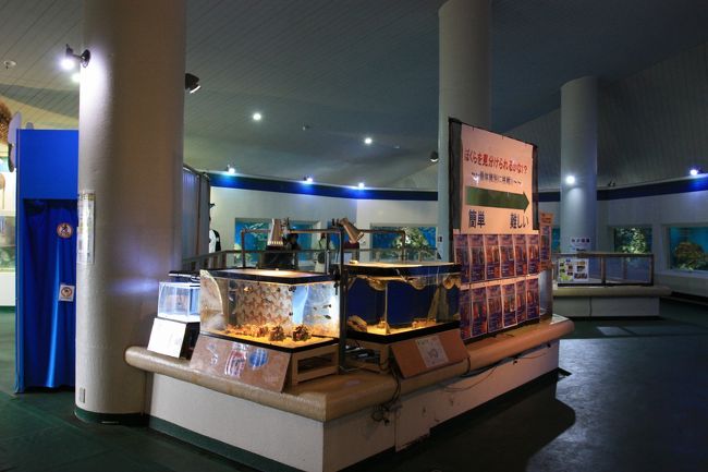 館内はこんな感じ。昭和の香りが漂う。