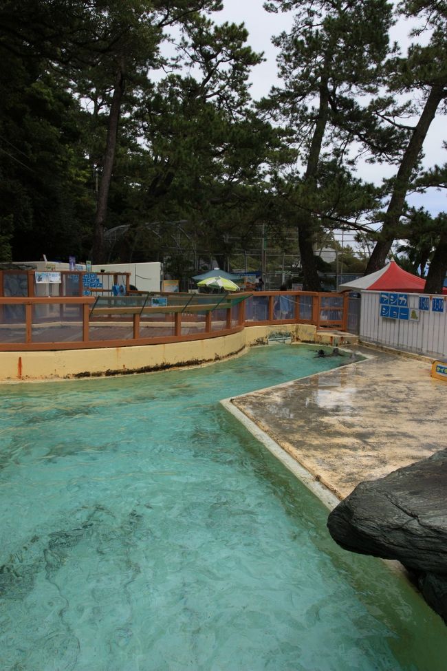 イルカのいる水槽もあるが老朽化が見られる。