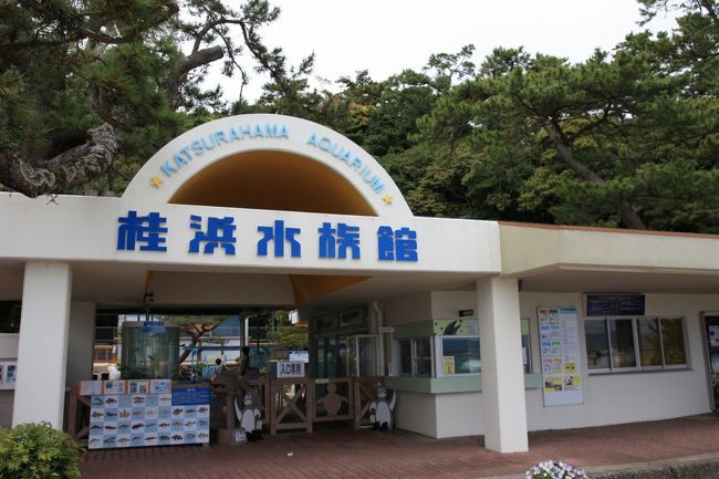 急遽、近くにあった水族館に立ちよることに。水族館はけっこう好きなので。