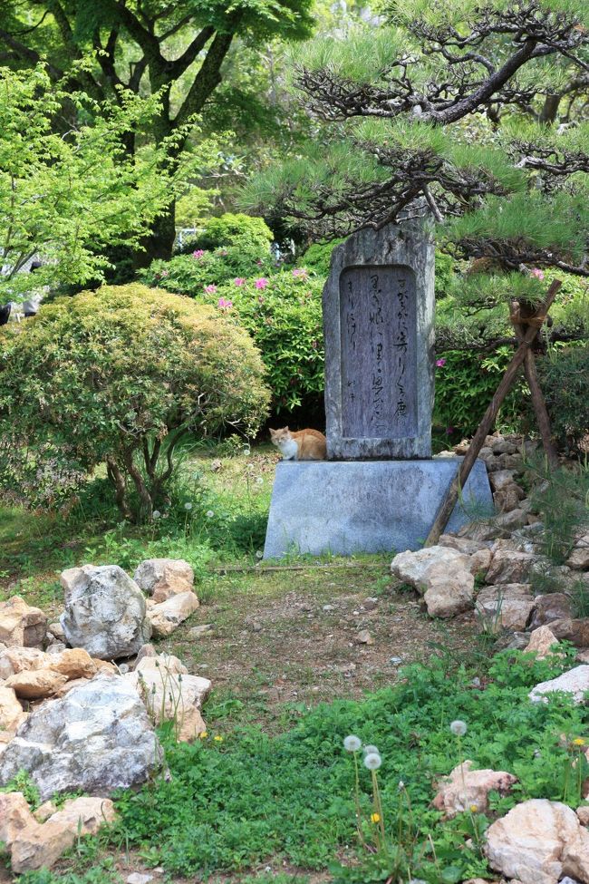 今回の高知の旅行は天候が不安であったが晴れ男パワーで降水確率90％を晴れに変えることが出来た。<br /><br />龍馬が思い描いた日本、そして、現在21世紀の日本。二つの日本が交差する。龍馬の軌跡に少し触れた旅行であった、<br /><br /><br /><br /><br /><br />