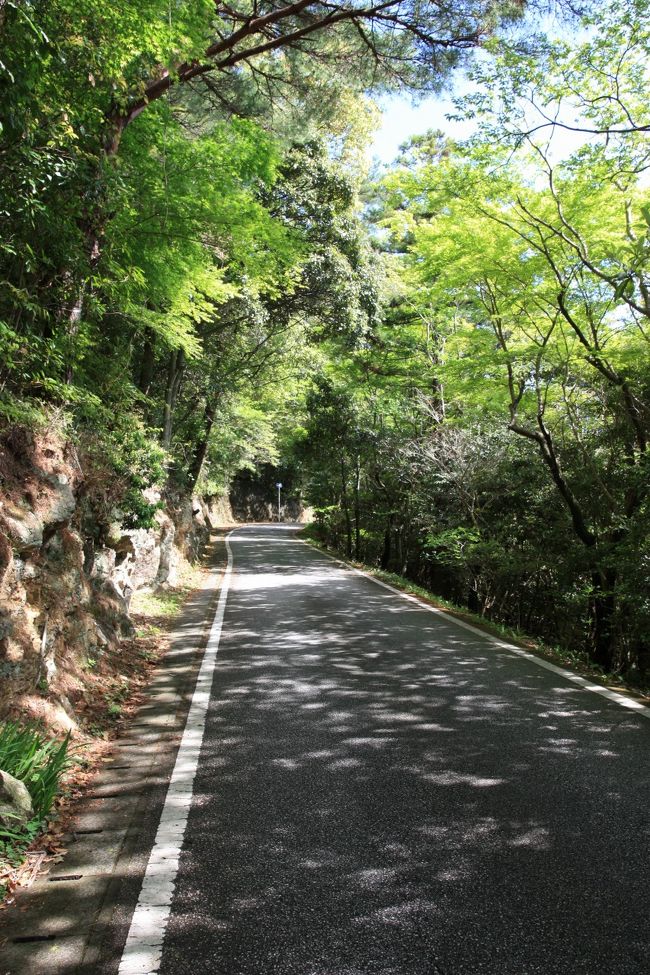 山を降りて本来の目的である植物園を目指す。とても疲れた。