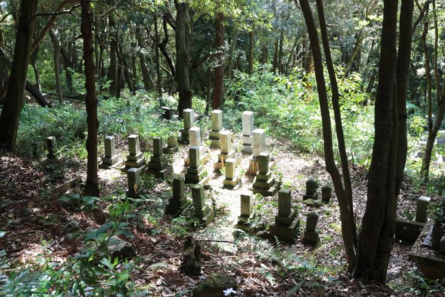 峠の山道はクネクネとすごい急カーブが多い。バイク乗りが好みそうだ。バスの車窓からはお墓が見えた。どうしてこんな山の中にお墓が？バスの運転手に訊けば良かった。