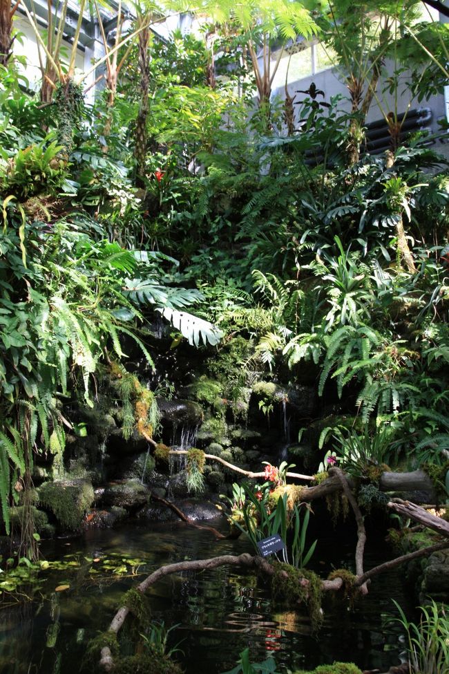 そして植物園へ到着。敷地面積が広い。