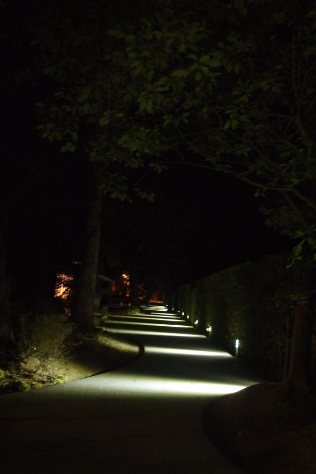 三重に行ってみた 伊勢神宮 三重県 の旅行記 ブログ By Hiro C14さん フォートラベル