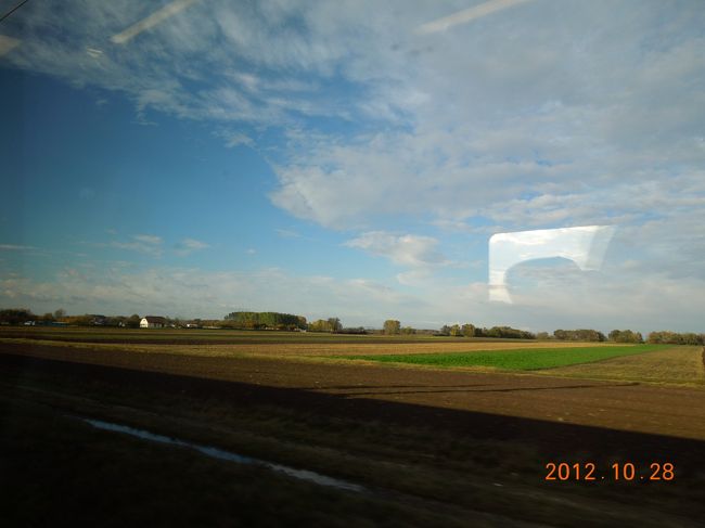 いいお天気ですね！<br /><br />眠いです・・・