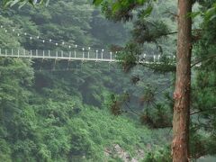 　吊り橋のつつじ橋が見えてきました。
　近くには日本一のミツバツツジ公園があります。