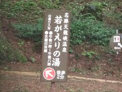 　第三公園の所には、天竜峡温泉の日帰り温泉「若返りの湯」があります。