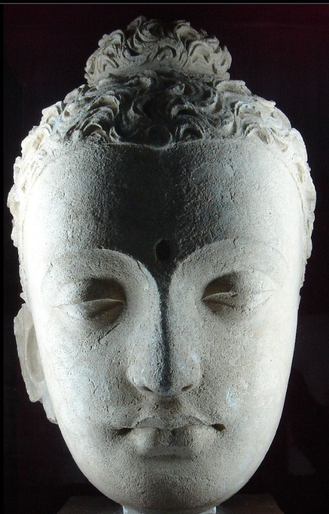 ※※ラニガト : 1983-1992ガンダーラ仏教遺跡の総合調査 ラニガト―ガンダーラ仏教遺跡の総合調査(1983‐1992)図版編 京都