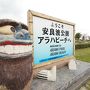 夏の足音が聞こえはじめたOKINAWA！