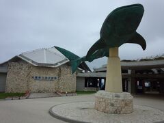 美ら海水族館へ

途中ローソンで割引チケット購入