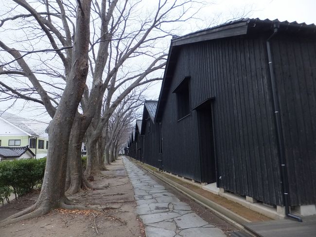 倉庫の裏側に出てきました。こちらはよく山居倉庫の写真で使われる景色だと思います。