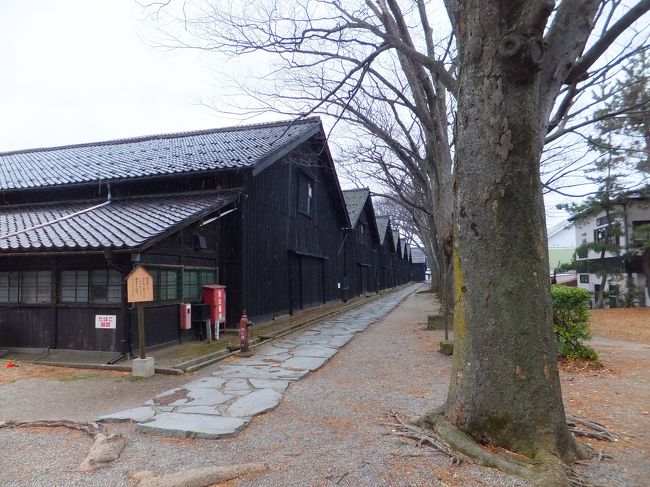 歩いているとパラパラと白い物が降ってきました。