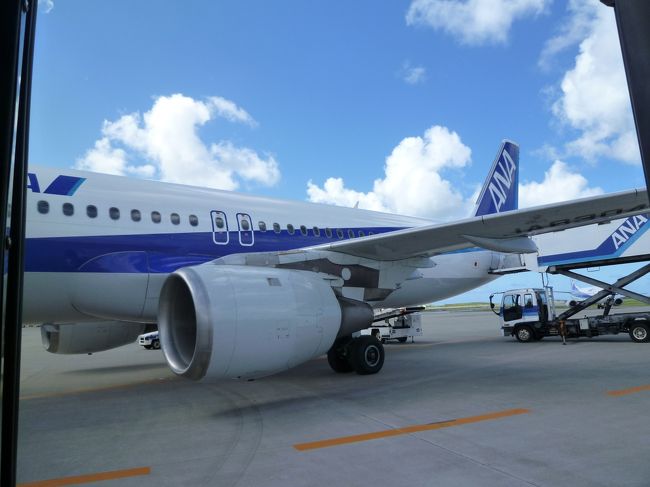 無事那覇空港へ着きました！<br />間近で飛行機見れました。