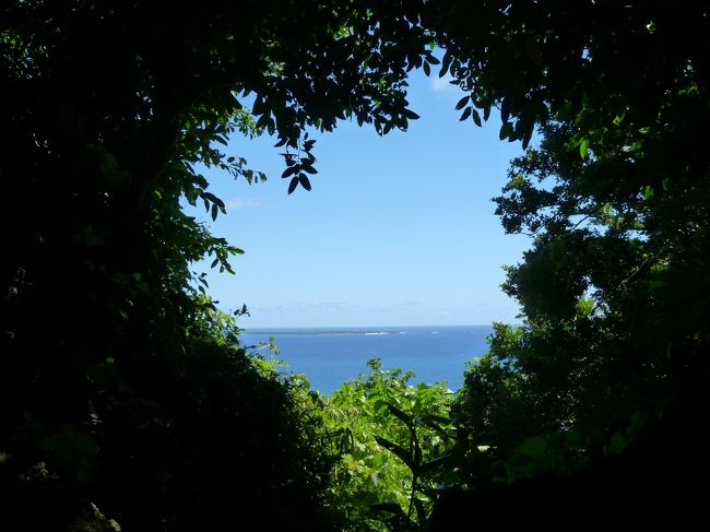 ここから見える海がきれかった！