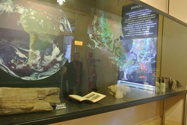 また、この地域の歴史や自然に関する展示もされておりました。