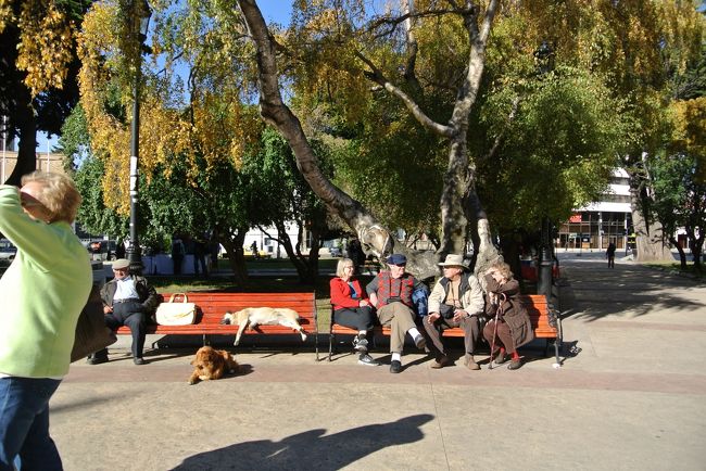 人々も、犬もまったり。