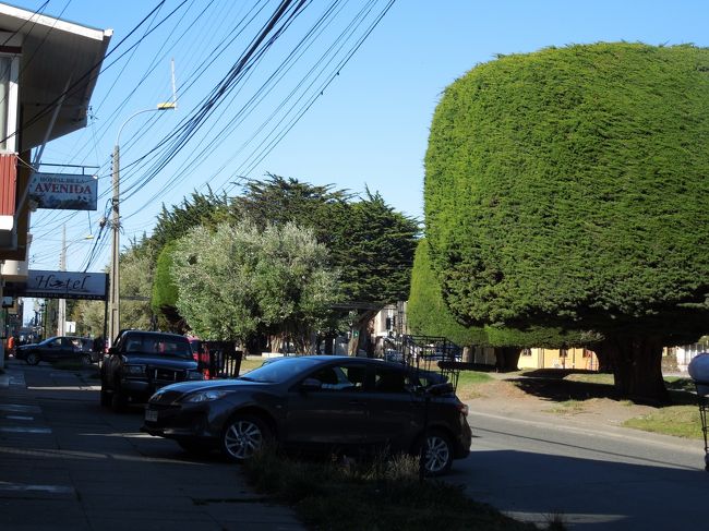 バスターミナルの待合席で、ガイドブックを広げて、大体の地理関係を頭に叩き込みます。<br /><br />なるほど、マゼラン海峡までは、歩いて行けるわけですね。<br /><br />そして、何と、椎名誠さん達がかつて本拠地としたという、＜ホテル　モンテカルロ＞が、バスターミナルからそんなに離れていない場所にあるのだということに気が付きました。