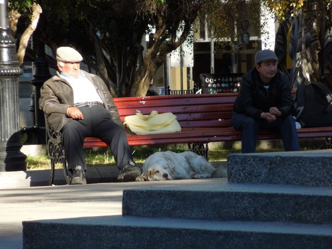 人も、やはりまったりしています。