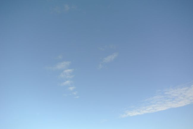 良い天気で、本当に良かった。