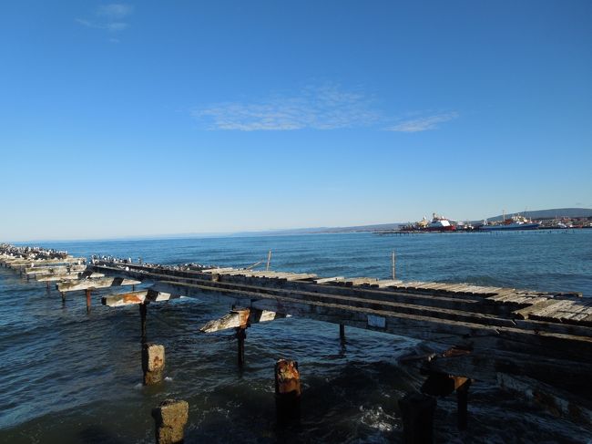 じっくりと散歩ができて　良かったです。