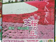 今年の「芝桜まつり」は、４/11～５/６。
今日の芝桜は、このポスターの写真ほどではないようです。
