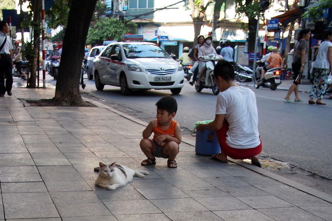 歩道に猫がねそべってる<br />そして、小さな子供が<br />それにすり寄って行く<br /><br />すごくのどかな風景だね<br /><br />けっこうあちこちで<br />こういうのどかな風景を見かけたよ<br />ベトナムの特徴的な風景だと思った<br />