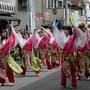 グーちゃん、伊東へ春の花見合宿に行く！（お悔やみのお花見・・・編）