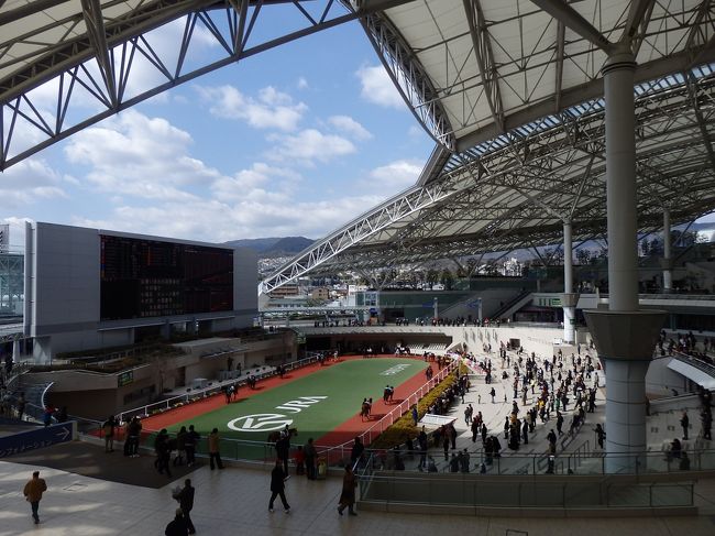 ・阪神競馬場　<br /><br />入ってすぐのパドック。<br />天気も良くて開放的な感じやった。