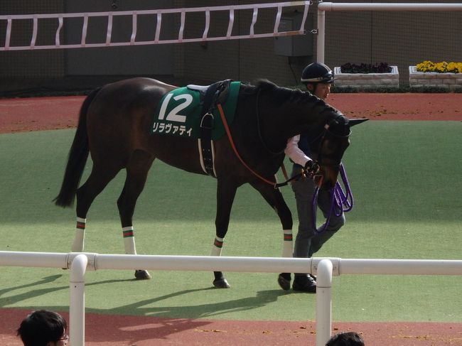 ・阪神競馬場　<br /><br />本日のメインレースは、桜花賞トライアルのチューリップ賞。