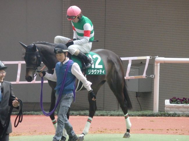 ・阪神競馬場　<br /><br />人気はないけど、３着以内に来れる力はあるはず。<br />頼んだぞ、松山弘平！