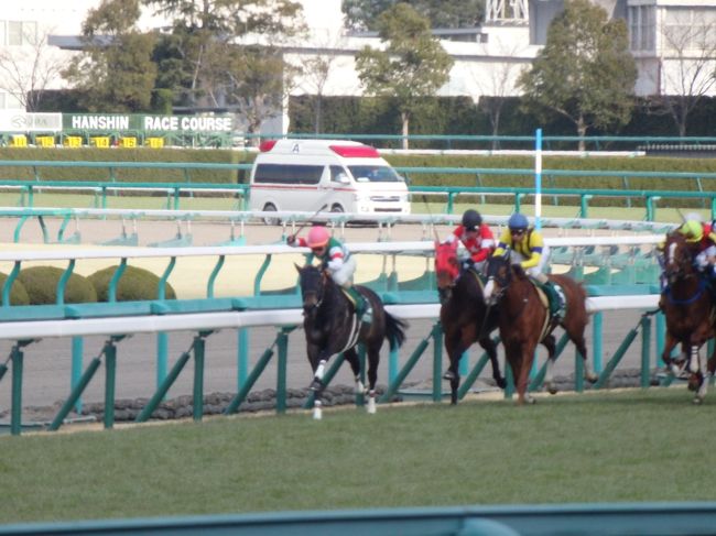 ・阪神競馬場　<br /><br />まさかの逃げから、先頭で直線へ！<br />差し馬有利な馬場の中、何とか３着に粘ってくれた。<br />桜花賞の権利も取ったし、馬券も当たったし、言うこと無し♪