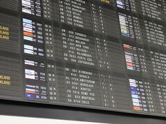 バスは時刻通りに空港着。フロアを上がって出発階へ。コペンハーゲン行きSK594便の表示もちゃんと出ている。

それより興味をひくのは、ブジュンブラだのドゥアラだのバンジュールだのというマニアックな行き先だ。

