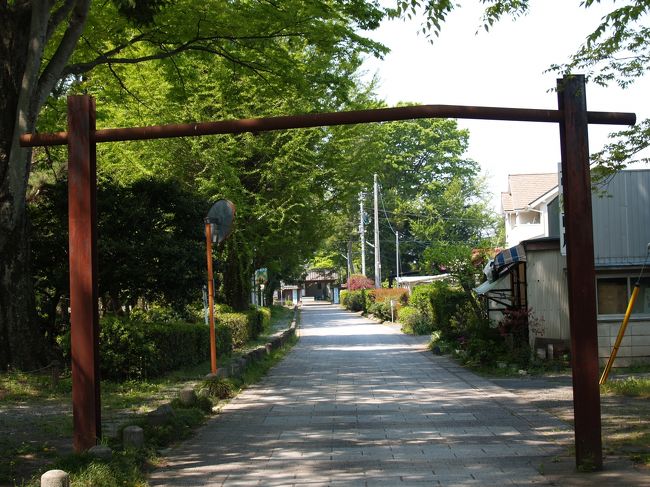 長楽寺(1)』太田(群馬県)の旅行記・ブログ by ドクターキムル 長楽寺(1)』太田(群馬県)の旅行記・ブログ by ドクターキムル