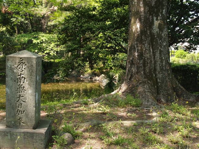 長楽寺(1)』太田(群馬県)の旅行記・ブログ by ドクターキムル 長楽寺(1)』太田(群馬県)の旅行記・ブログ by ドクターキムル
