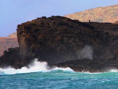 そして、このサンディ・ビーチからは、ちょっと面白いものを眺めることができる。
サンディ・ビーチの北側の海岸に立って、ビーチの反対側を眺めると、ソコに見えるのは、吹き上がる水の柱。

太古の昔、オアフの火山が活発に活動していた頃、溶岩が海に流れ落ちる時に岩の中に海へと繋がる空洞を作った。
大波が立つ日には、その穴を通った海水が勢いよく空中に噴射される現象が見ることができる。
それがこのハロナの潮吹き穴（ブロウ・ホール）

波が打ち寄せる度に繰り返されるその噴射は、鯨の潮吹きを見ている様。
