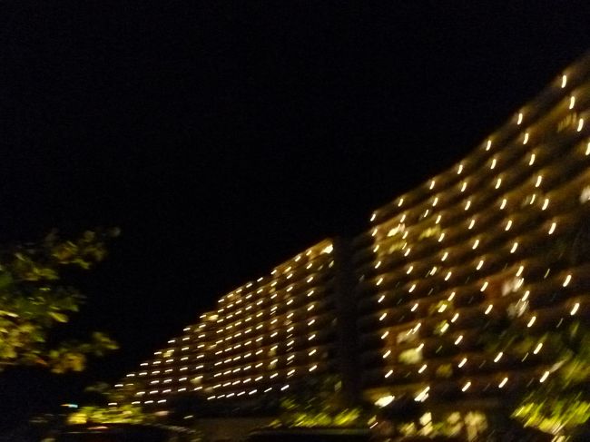 ホテルへ戻りました。<br />夜のホテルもとても綺麗です。