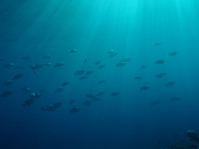 今までに青の洞窟で2回シュノーケリングしたことありましたが、<br />ダイビングは初めてです。