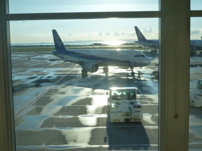 那覇空港まで送迎してもらいまいした。