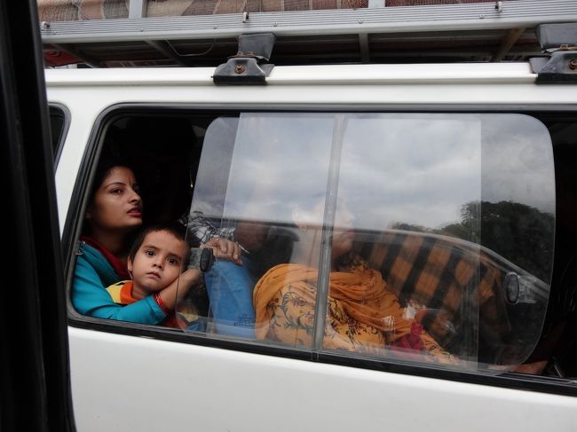 目が合ってしまった・・・