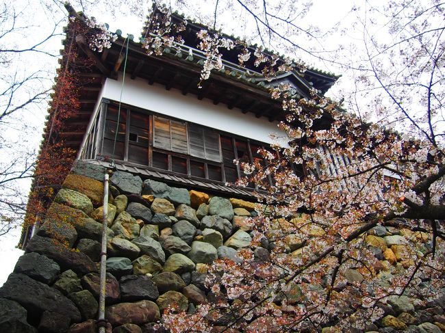 小さい城をぐるりとまわるともう観光終了ではないか・・・<br /><br />お城の散策は120秒で終了。。