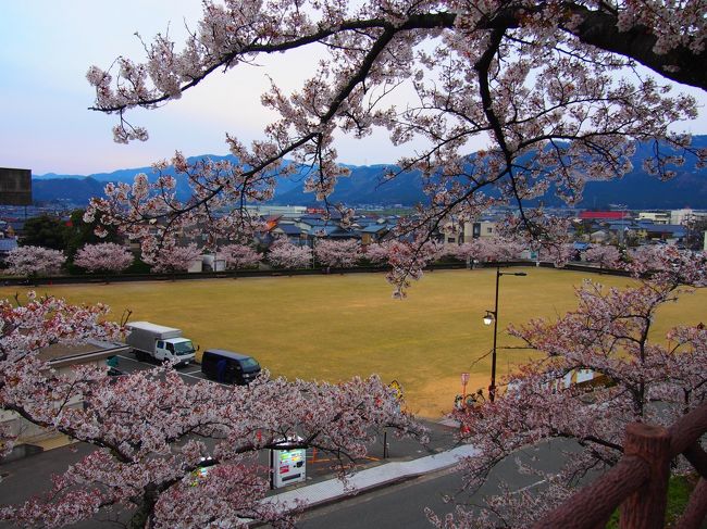 桜に包まれたスタジアムすばらしい。<br />どこのチームのものだろうか