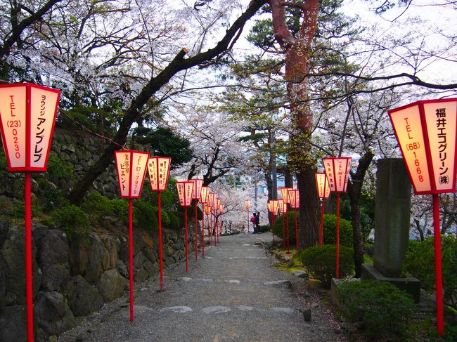 明かりがともりはじめました。