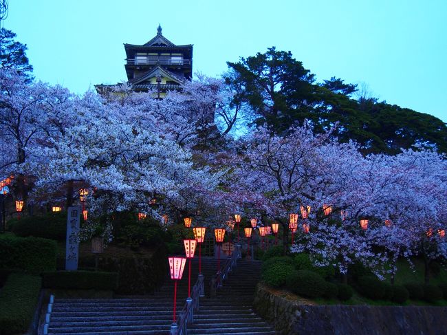 桜雲に浮かぶ城って絵。<br />丸岡城噂通りの素晴らしさでした。<br />次回はもう少し日の高いときに来たいね。