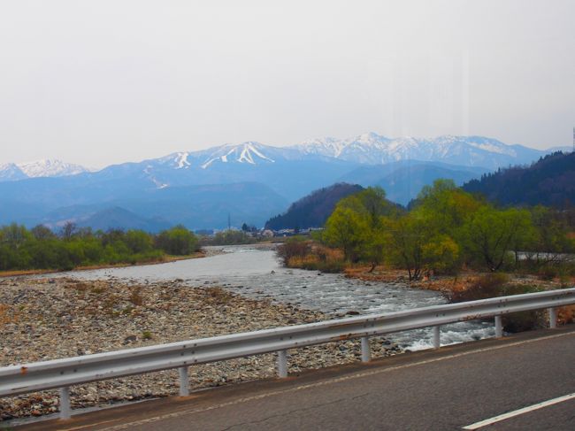 遠くに見える雪山と手前の緑が<br />春になったなと感じさせる。