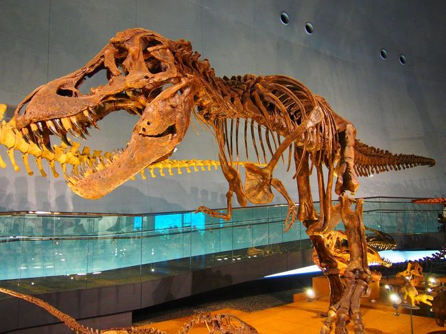 イヤー迫力がある