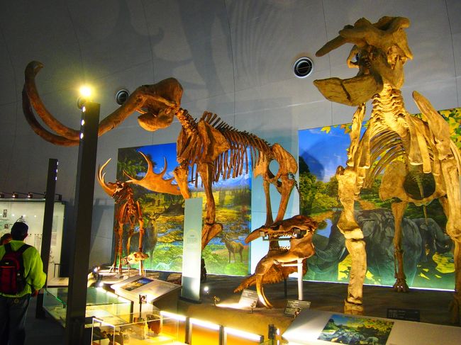 マンモスが大して大きくなく感じる。