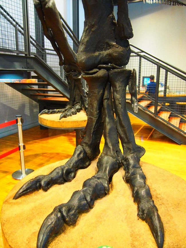 こんなんで踏まれたらひとたまりもないね。