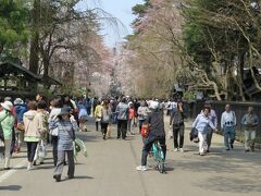 武家屋敷通りに向かいます。

武家屋敷通りは歩行者天国になっていて、観光客でにぎわってました。