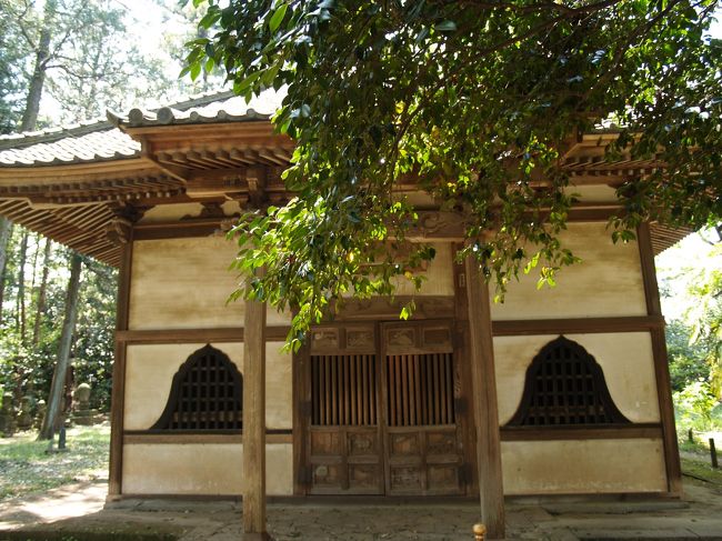 長楽寺(2)』太田(群馬県)の旅行記・ブログ by ドクターキムル 長楽寺(2)』太田(群馬県)の旅行記・ブログ by ドクターキムル